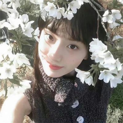 朋友们